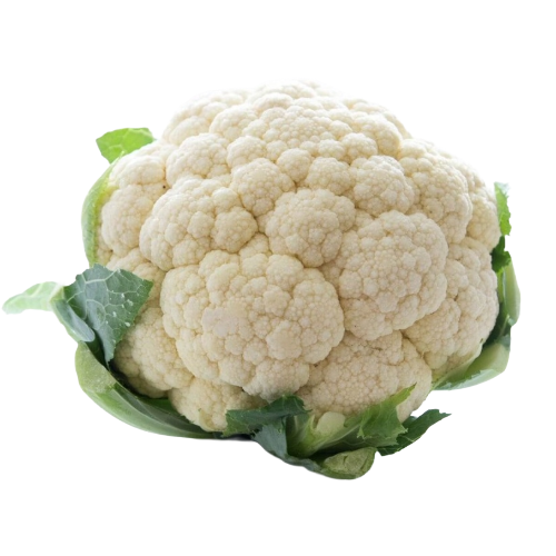 زهرة اردني 1 كيلو (تقريبا)