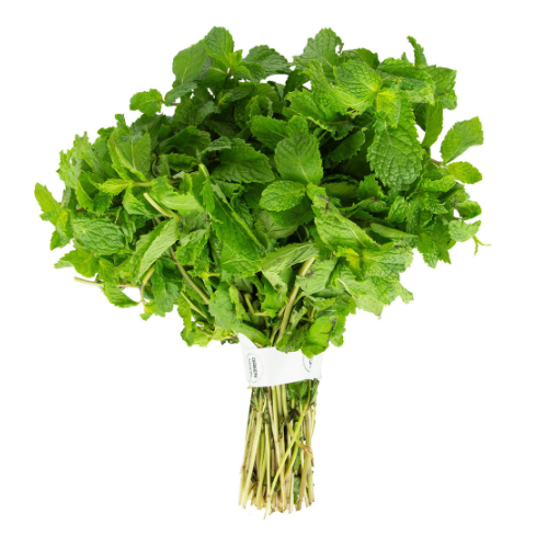 نعناع ورق ربطة