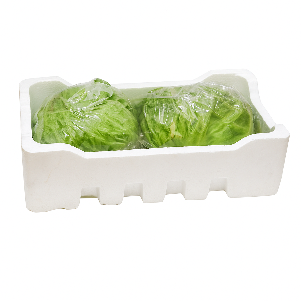 خس مدور فلين كبير