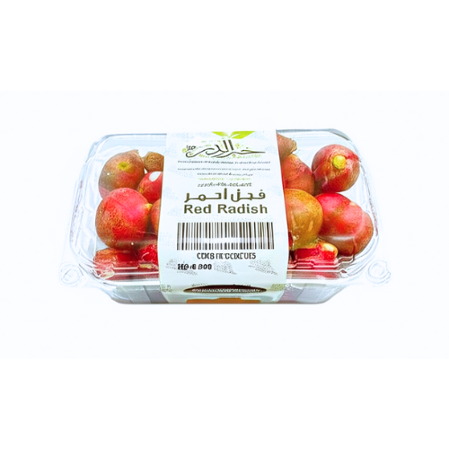 فجل احمر علبة