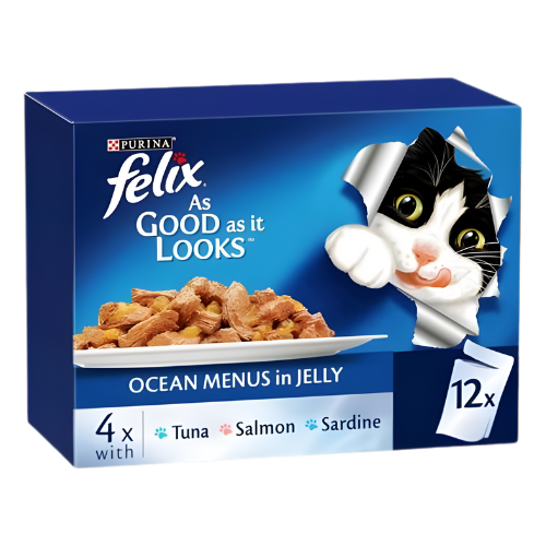 اكل قطط قائمة فيليكس اوشن بيورينا 12 × 85 جم