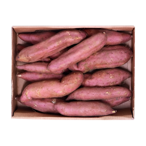 بطاطا حلوة كرتون