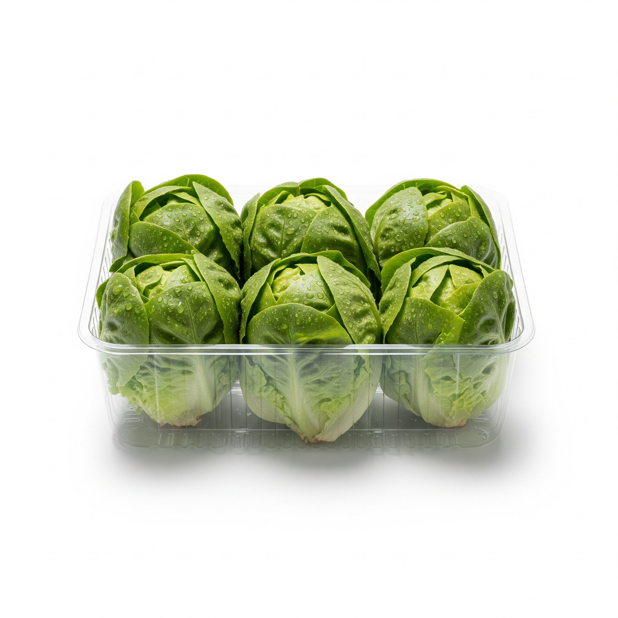 خس بيبي علبة