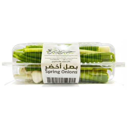 بصل اخضر علبة