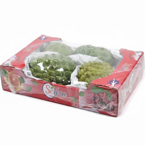 قشطة كشف لبناني طيارة