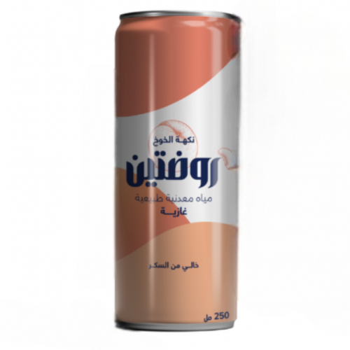 روضتين مياه معدنية مكربنة نكهة الخوخ خالي من السكر 250 مل