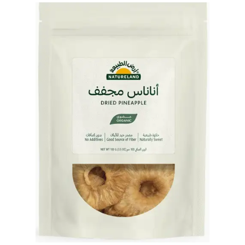 أرض الطبيعة أناناس مجفف عضوي 100 جرام