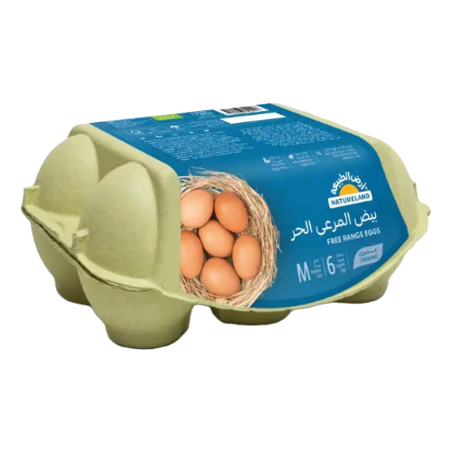 ارض الطبيعة بيض المرعى الحر 6 حبة