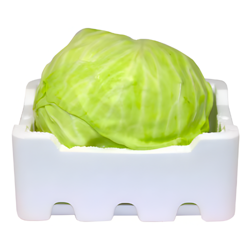 ملفوف ابيض فلين