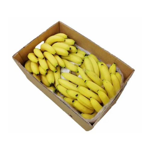 موز سنيوريتا كرتون صغير