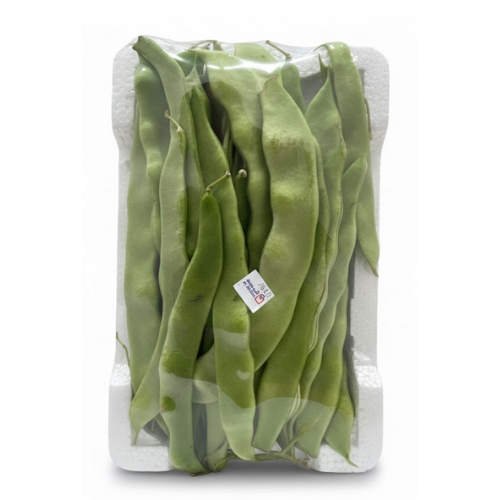 بدرية كويتي فلين وسط