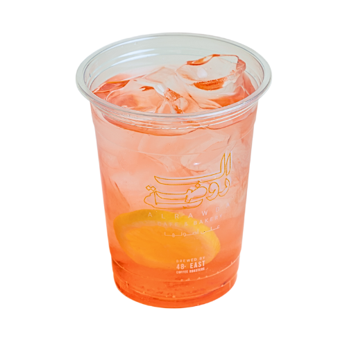 موهيتو البطيخ (صغير) | Watermelon Mojito (Small)