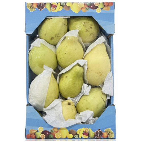 جوافة مصري صندوق صغير