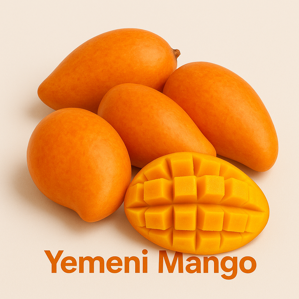 مانجو تيمور يمني كرتون