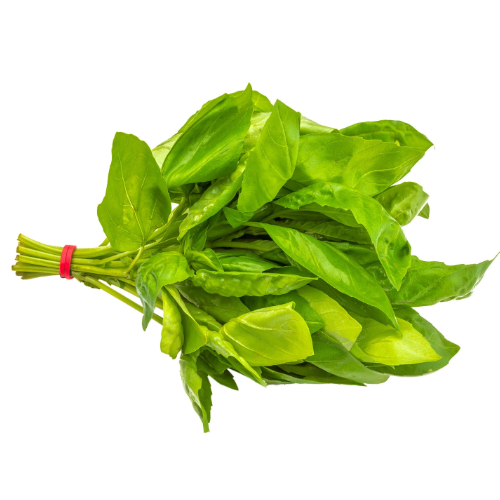 ريحان ضغير ورق ربطة